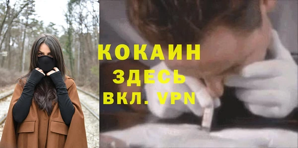 COCAINE Богородицк